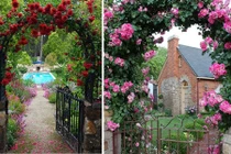 Gợi ý trang trí nhà đẹp với giàn hoa leo 