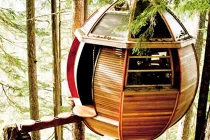 Chiêm ngưỡng những ngôi nhà trên cây ấn tượng nhất 