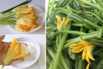 Hoa bí đỏ chính là tiên dược cho sức khỏe, giúp giải độc, sáng mắt