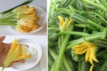 Hoa bí đỏ chính là tiên dược cho sức khỏe, giúp giải độc, sáng mắt