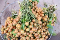 Những bài thuốc quý từ quả quất hồng bì ít người biết