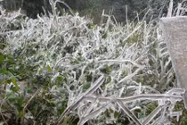 Tam Đảo lần đầu đón tuyết rơi trong vòng 30 năm qua