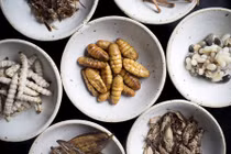 Ăn sâu tre, dế mèn ở nhà hàng hạng sang của Thái Lan 