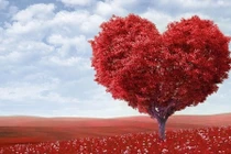 Uống loại nước này hàng ngày nhận lợi ích thần kỳ cho sức khỏe