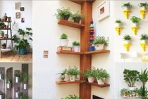 Những cách trang trí nhà tuyệt đẹp với cây xanh