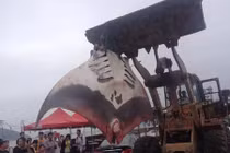 Cảnh ngư dân dùng xe xúc đất để hốt “cá quỷ” khổng lồ