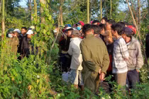 Đang săn chim, hoảng loạn khi thấy thai phụ chết treo cổ trong vườn tiêu