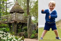 Ngôi nhà cây gần 700 triệu của Hoàng tử nhí nước Anh 