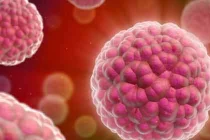 Liệu pháp thay hormone giảm nguy cơ ung thư tụy