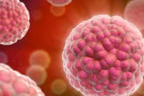 Liệu pháp thay hormone giảm nguy cơ ung thư tụy