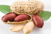  Ăn lạc sẽ mang lại lợi ích gì cho sức khỏe?