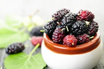 Mùa dâu tằm đến rồi, nhất định bạn phải biết những lợi ích của quả này