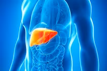 9 cách giữ gan khỏe mạnh ai cũng có thể thực hiện