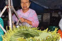 Ăn trầu khiến nhiều người mắc ung thư khoang miệng