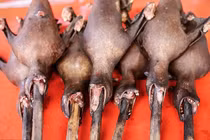 Có ai dám thử đặc sản "chưa ăn đã sợ khiếp vía" này ở Inonesia?