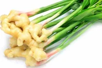 Công dụng bất ngờ bạn chưa biết về củ gừng