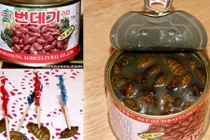 Soi thực phẩm đóng hộp kỳ quặc bán trong siêu thị