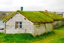 Mát mắt với nhà đẹp phủ cỏ xanh mượt