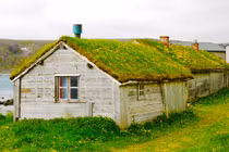 Mát mắt với nhà đẹp phủ cỏ xanh mượt