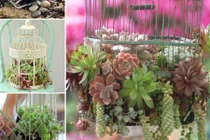 Bật mí cách biến lồng chim cũ thành giỏ hoa trang trí
