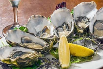 8 loại thực phẩm tuyệt đối không nên tiếc rẻ khi hết hạn kẻo rước họa