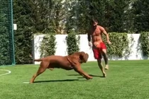 Video: Messi phô diễn kỹ thuật cá nhân điêu luyện bên cạnh cún cưng