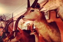 Thú vui đốt tiền giật mình của các siêu tỷ phú