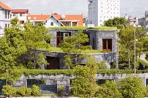 Loạt nhà Việt phủ cây xanh khiến báo ngoại sửng sốt