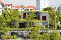 Loạt nhà Việt phủ cây xanh khiến báo ngoại sửng sốt