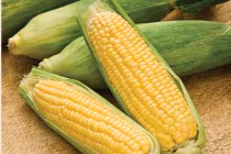 Những lợi ích bất ngờ từ bắp ngô
