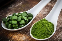 Lợi ích đáng kinh ngạc của tảo lục với sức khỏe
