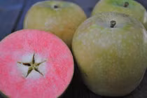 Tận mục giống táo hồng dễ thương đẻ ra tiền