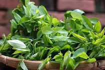 Những điều cấm kỵ khi ăn rau ngót tuyệt đối không thể bỏ qua