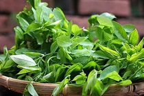 Những điều cấm kỵ khi ăn rau ngót tuyệt đối không thể bỏ qua