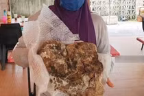 Nhặt được rác, không ngờ lại là “kho báu” hiếm có, đắt đỏ