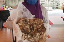 Nhặt được rác, không ngờ lại là “kho báu” hiếm có, đắt đỏ