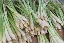 8 loại rau đẩy lùi ung thư hiệu quả