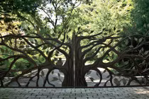 Ngắm những cánh cổng độc đáo cho nhà đẹp