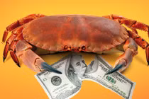 Những món hải sản “giá trên trời” chỉ dành cho giới nhà giàu