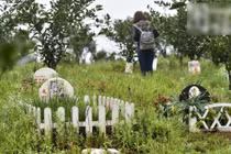 Nhà giàu Trung Quốc bỏ hàng nghìn USD mua đất chôn cất thú cưng