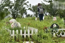 Nhà giàu Trung Quốc bỏ hàng nghìn USD mua đất chôn cất thú cưng