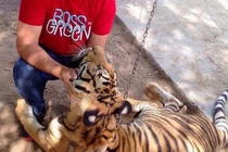 Choáng váng độ xa xỉ của con trai trùm ma túy El Chapo