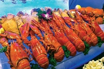 Dấu hiệu chứng tỏ bạn đã mua phải tôm chứa chất độc