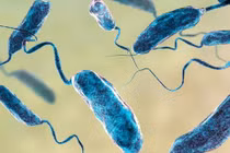 Diễn biến sức khỏe bé gái bị nhiễm 'vi khuẩn ăn thịt người'