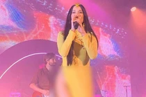 Soi thời trang sexy nóng bỏng của ca sĩ Mỹ mặc áo dài không quần