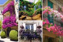 Cách trang trí ban công nhà bằng hoa cực kỳ mãn nhãn