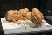 Giật nảy mình khi thấy những chiếc bánh ngọt kỳ lạ này