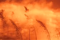 Bí ẩn 3 thảm họa thiên nhiên kinh thiên động địa trong lịch sử