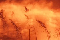 Bí ẩn 3 thảm họa thiên nhiên kinh thiên động địa trong lịch sử