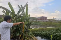 Hải Dương: Cụm Công nghiệp Phú Thứ xả thải… ô nhiễm bủa vây khu dân cư